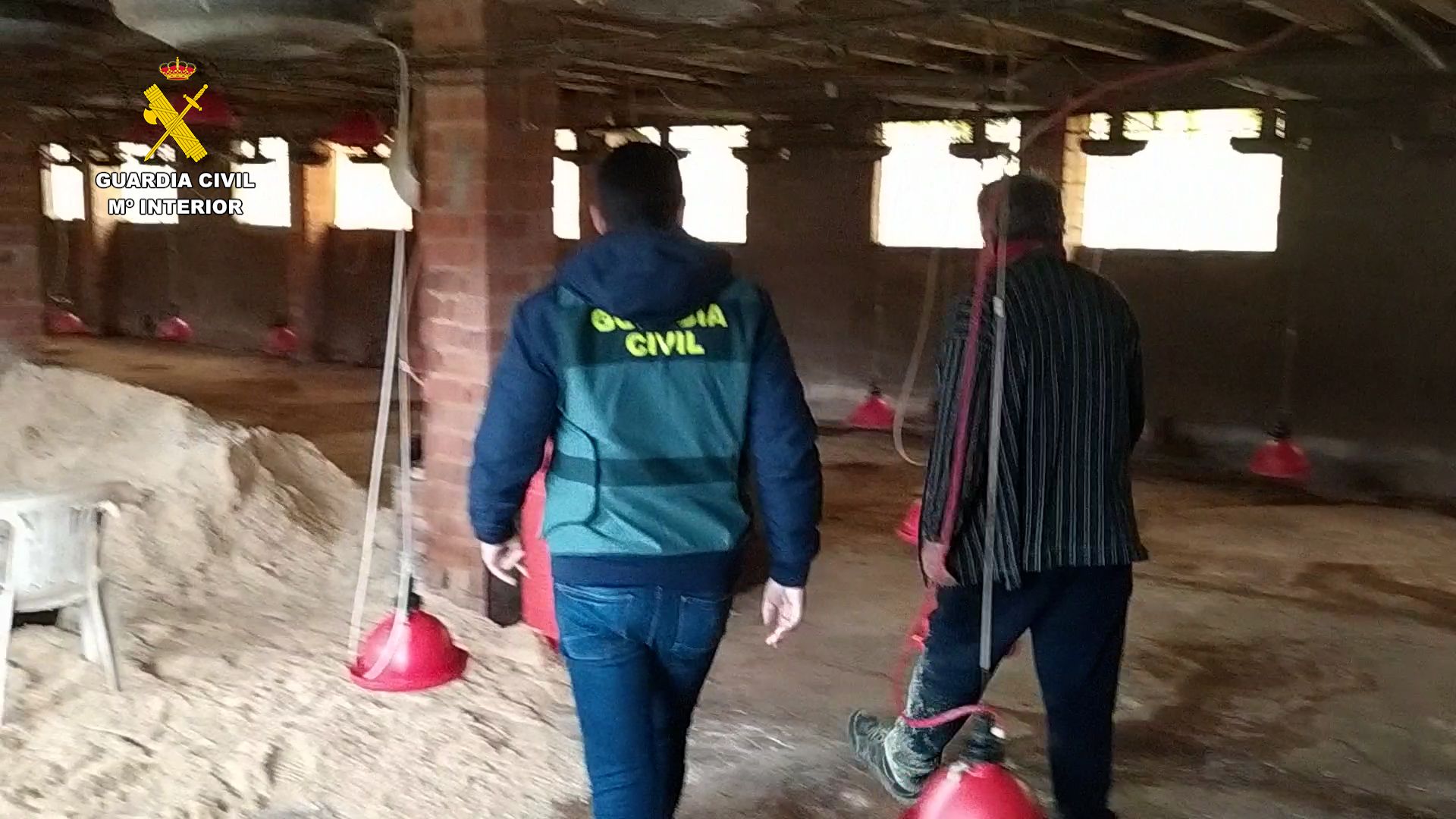 Robo de cobre en granjas de Pinet