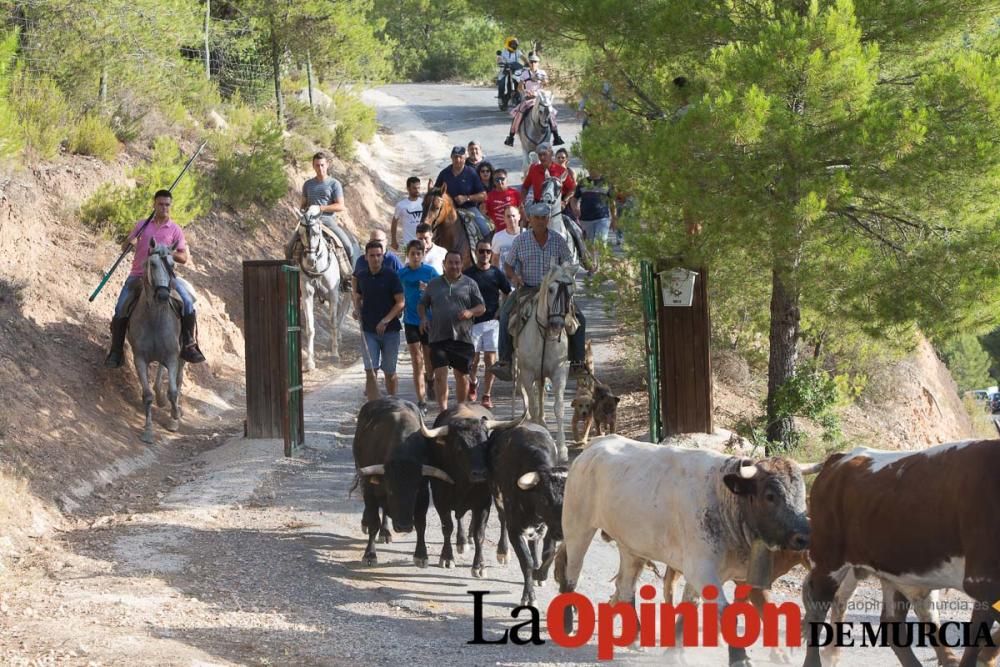 Vereda en Moratalla