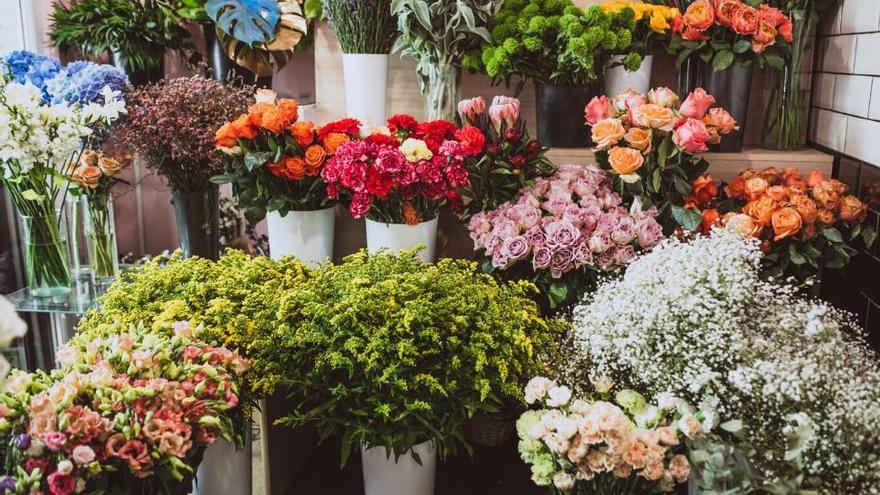 Aquestes són les plantes de jardí que hauries de retirar per la teva salut