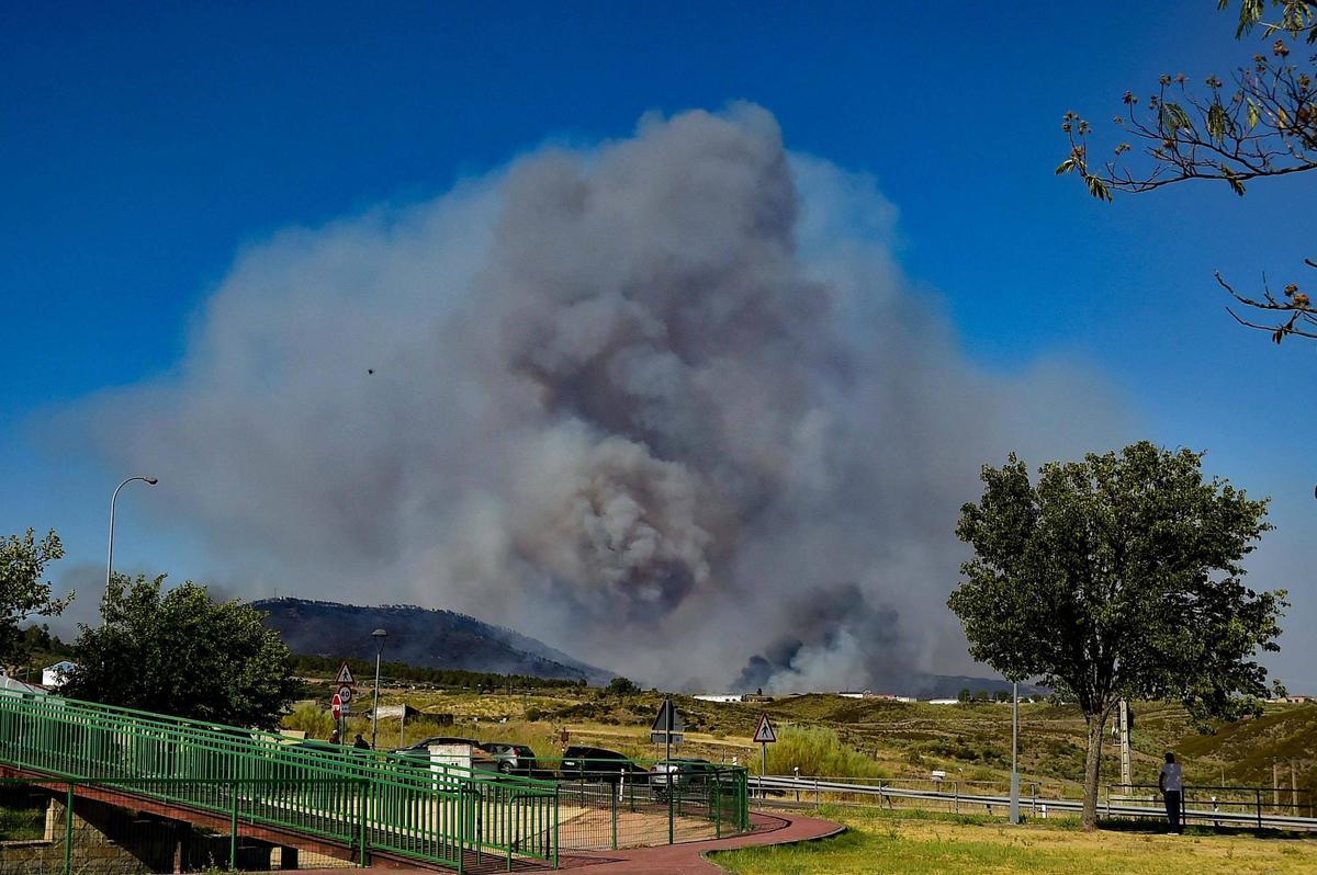 Fotogalería | Las imágenes del incendio de Casas de Millán, que ha obligado a evacuar a 800 personas Fotogalería | Las imágenes del incendio de Casas de Millán, que ha obligado a evacuar a 800 personas