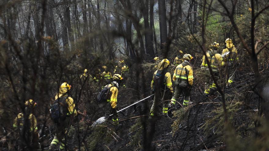 Incendios en Asturias: actualmente se contabilizan tres fuegos activos, uno estabilizado y ocho en revisión en la región