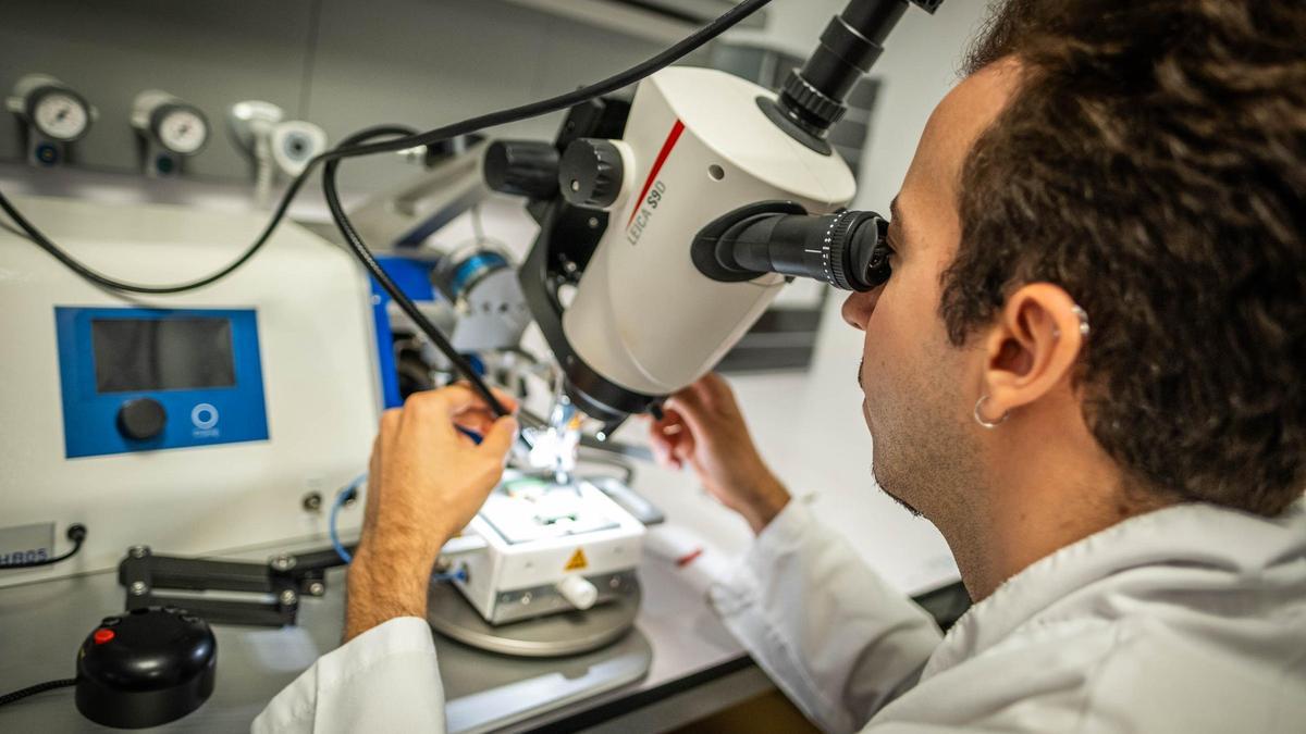 Un investigador mirando por un microscopio.