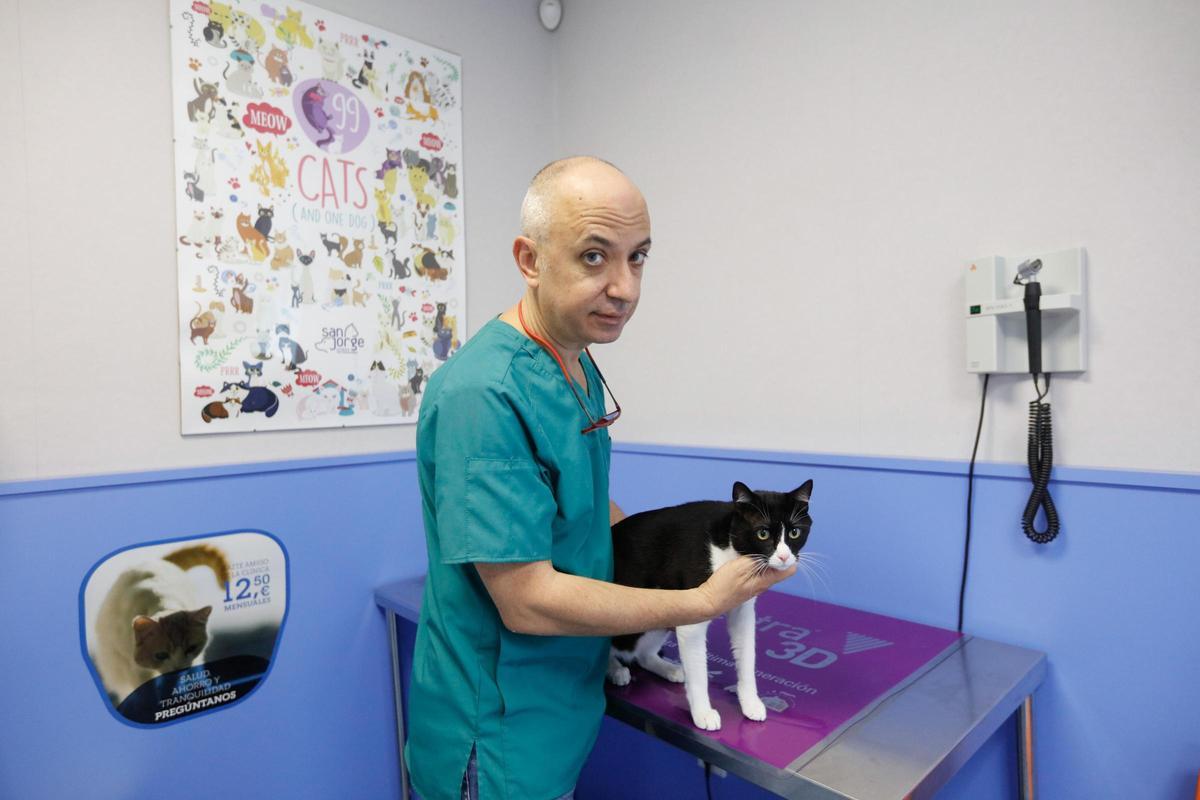 Fernando Ribas con un gato