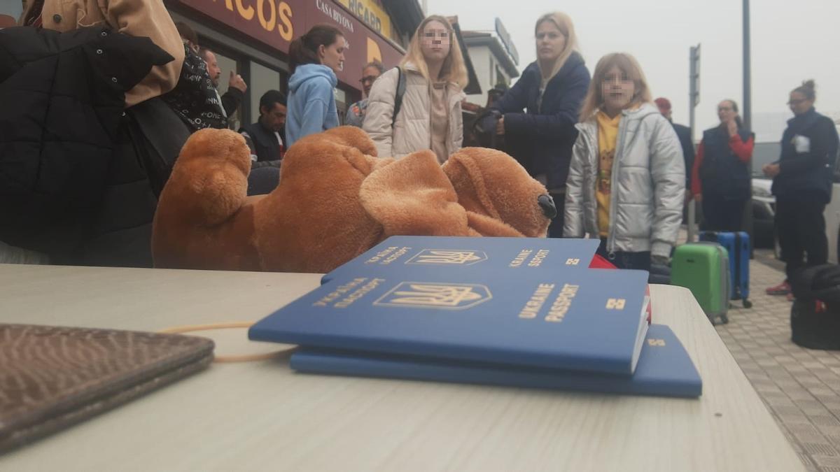 Peluche que un adolescente ucraniano lleva a sus primos de Alicante como regalo.