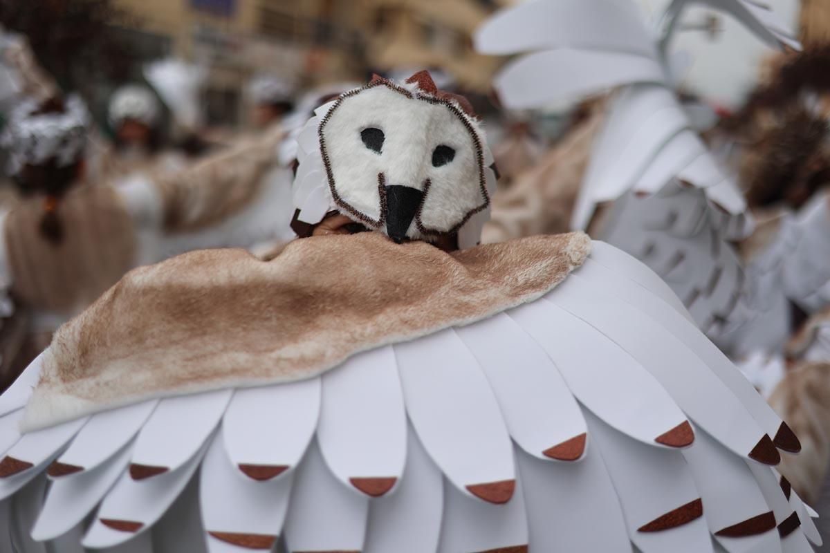 Búscate en las imágenes de la rúa de Carnaval de Ibiza