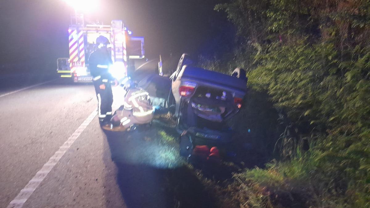 Qué pasa cuando un coche atropella a un jabalí?