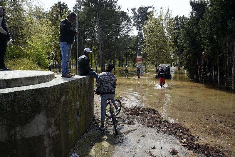 Impresionantes imágenes de la crecida del rio en Gelsa, Pinta y Quinto de Ebro