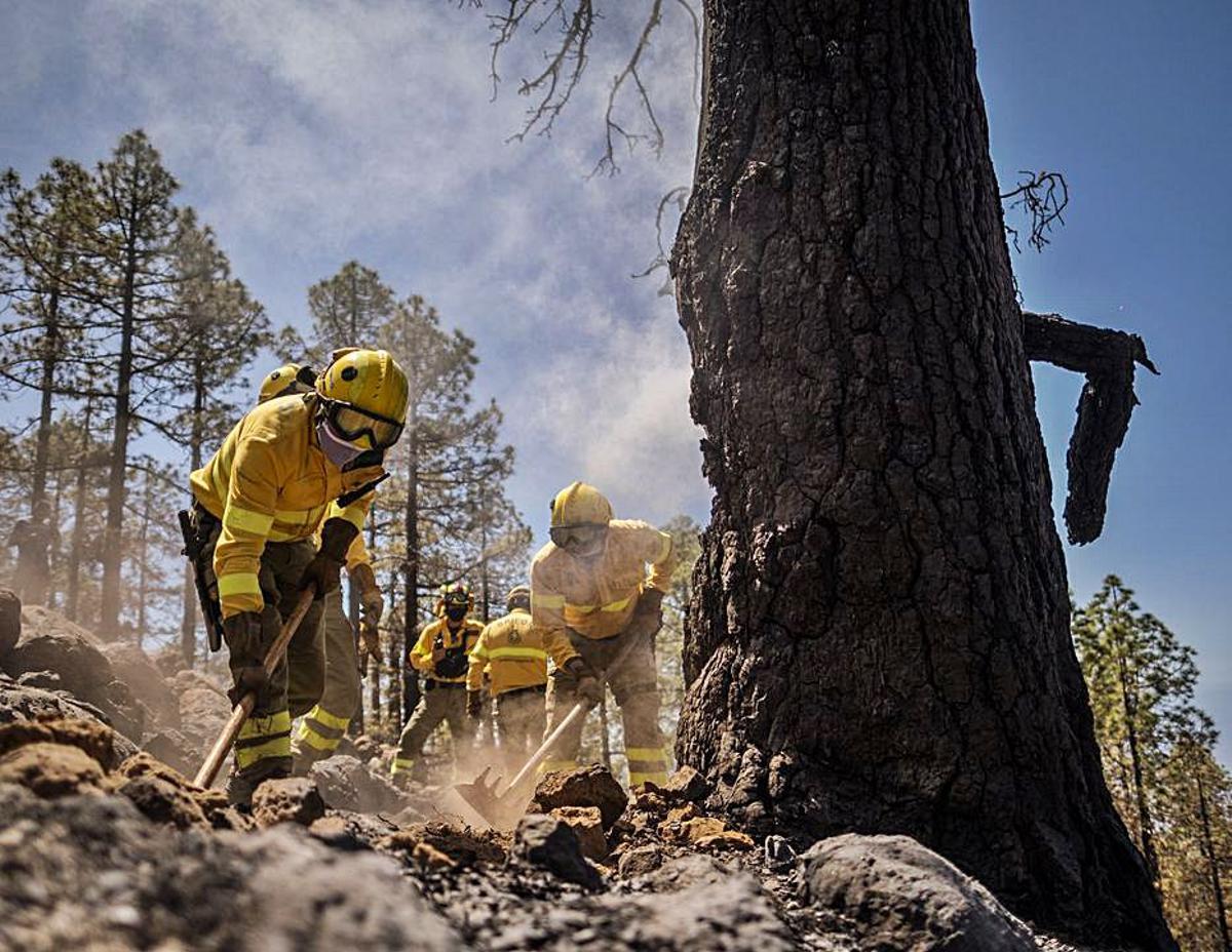 Operarios de la Brifor en el incendio de Arico.