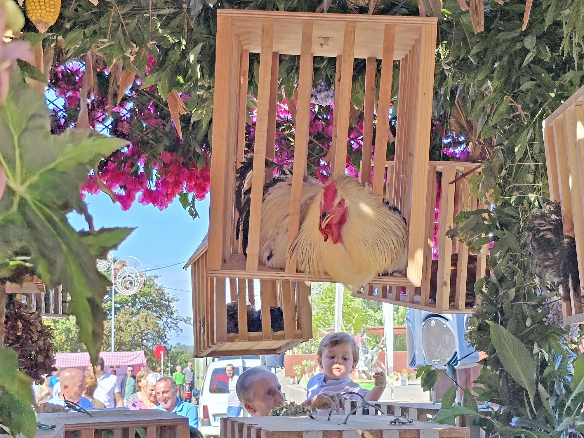Tradicional procesión en San Miguel de Peitieiros