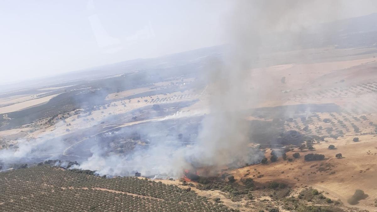 Imagen del incendio facilitada por el Infoca.