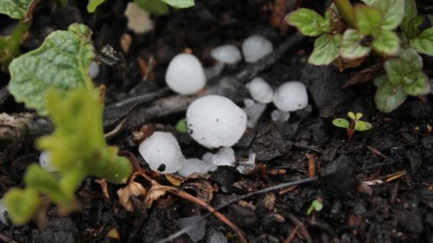 Granizo caído en Caudete. Foto: @MeteoCaudete