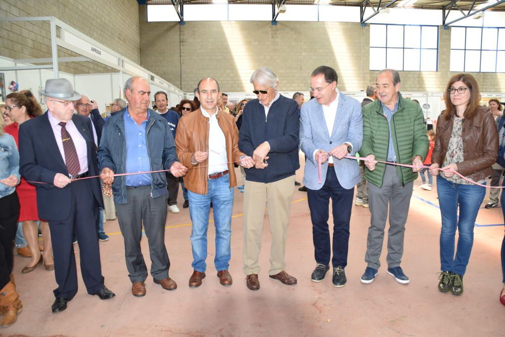 Feria ganadera de San Miguel en Carbajales de Alba