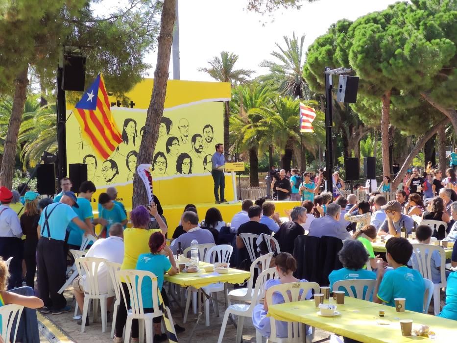 La Diada 2019, en imatges