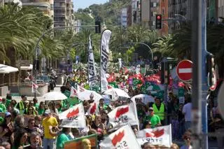 Las calles de Alicante se tiñen de verde por la manifestación de profesores el primer día de huelga de educación
