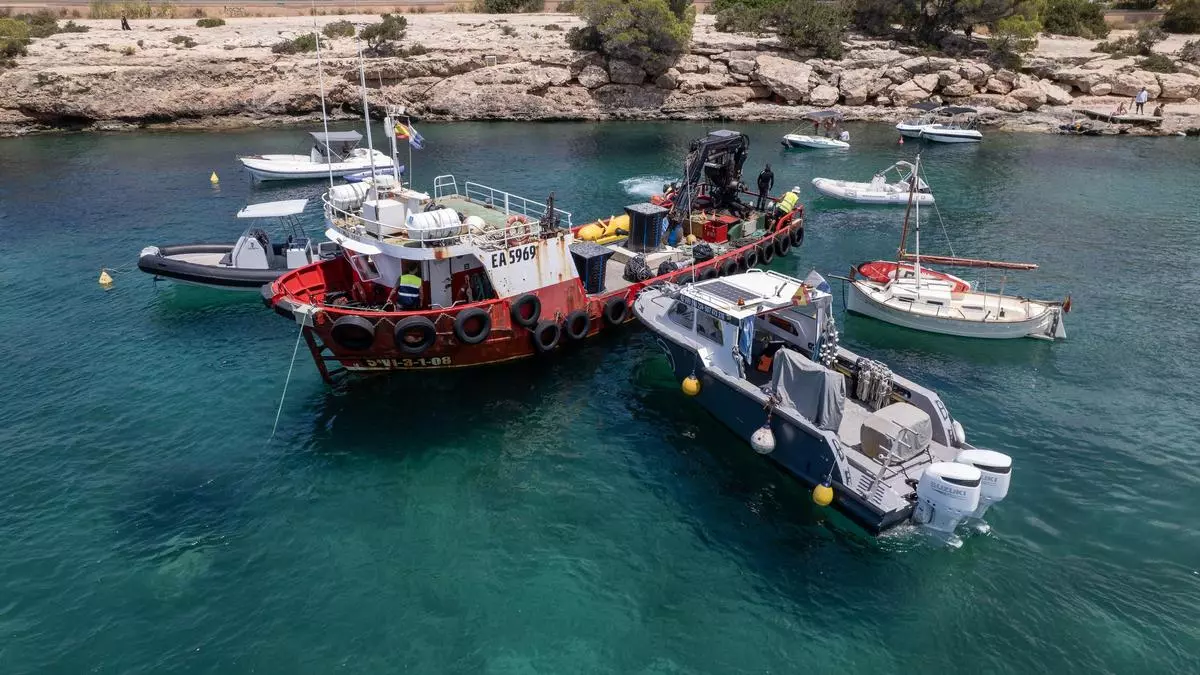 Instalan el sistema contra la microalga en Cala Vedella y Port des Torrent, pero el de Cala Tarida tardará otra semana
