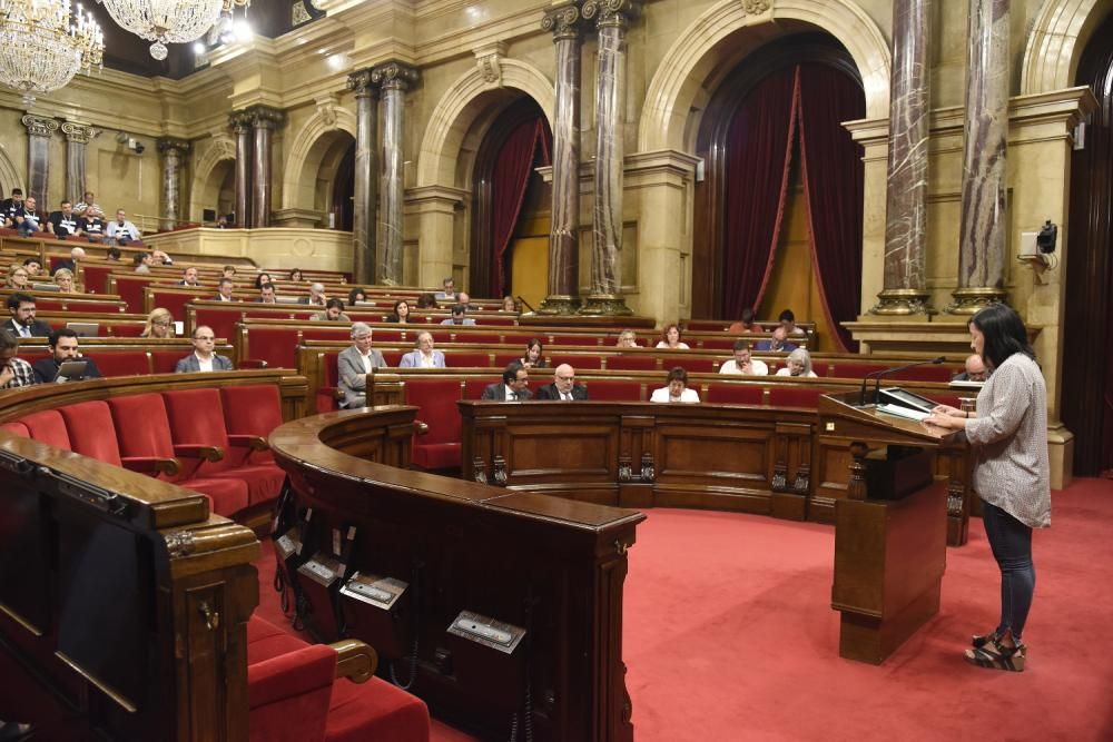 El Parlament aprova una resolució a favor de la mina de Sallent