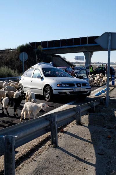 Accidente en la A-11