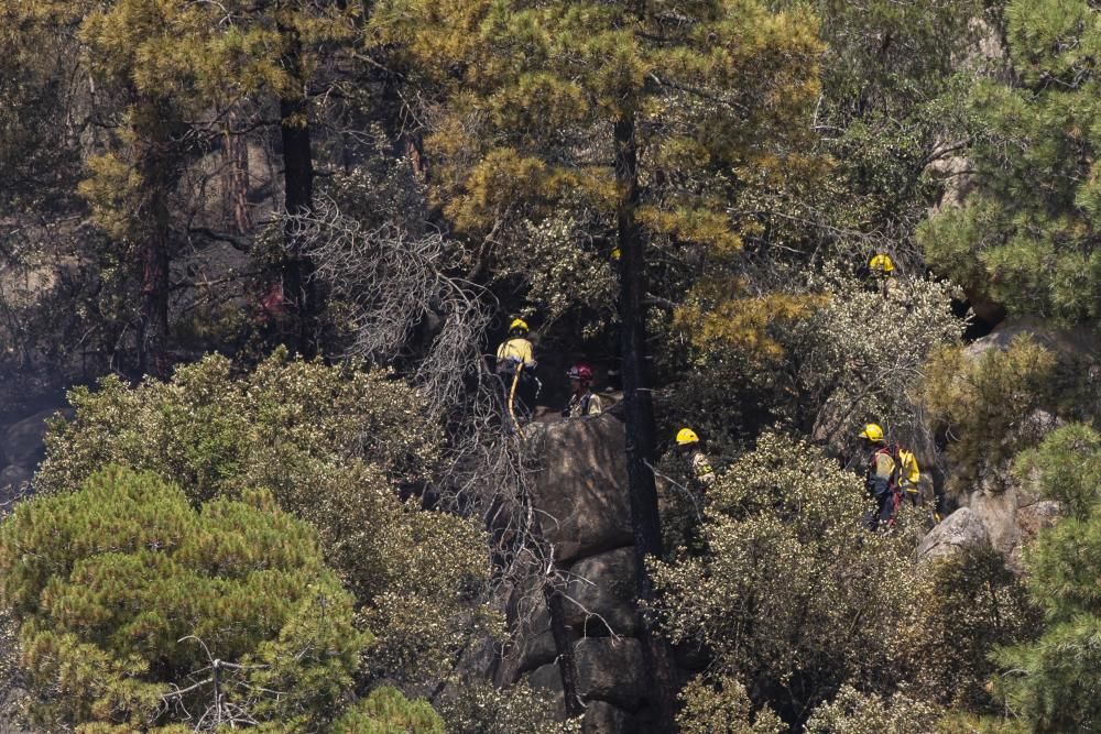 Incendi forestal en una urbanització de Lloret