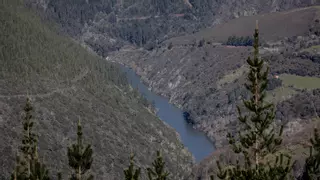 Siberia empieza al cruzar el Palo