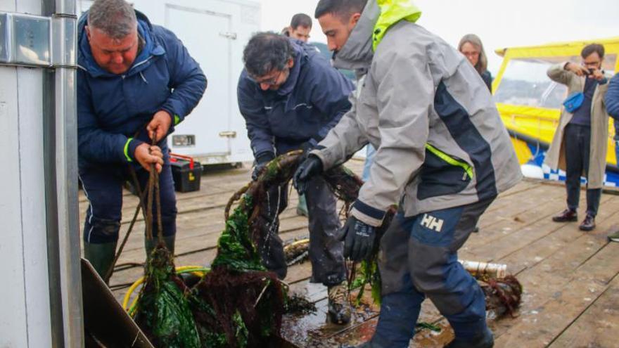 “Mantener limpios los sensores es un dolor de cabeza”, lamentan los investigadores. Además del hidrófono, otros aparatos en la plataforma miden temperatura, salinidad, presión y corrientes.