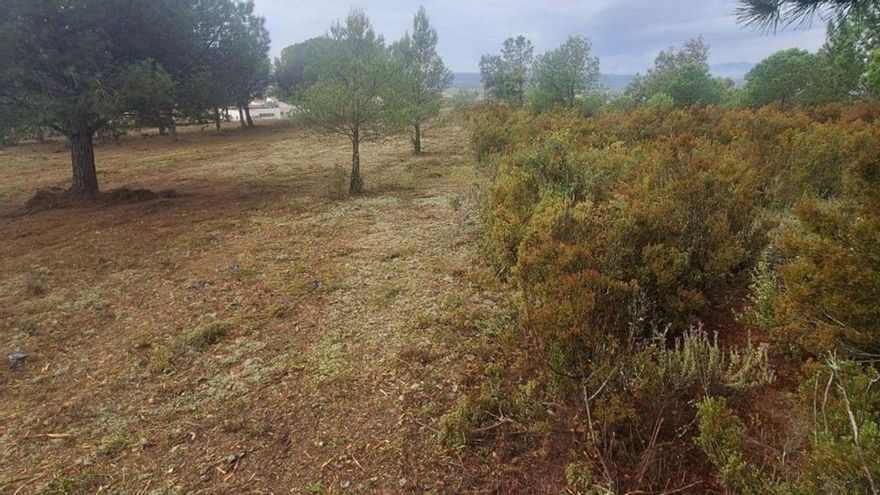Garriguella posa franges de protecció d’incendis al nucli urbà