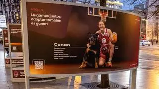El Casademont Zaragoza anima a la adopción de perros y gatos