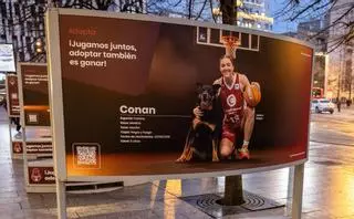 La nueva campaña del Casademont Zaragoza en el centro de la ciudad