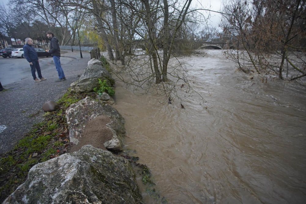 El riu Ter, al seu pas pel barri de Pont Major de Girona