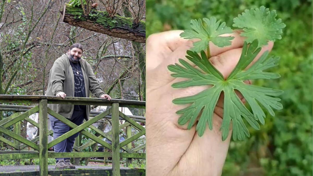 El divulgador David Eyo muestra las plantas comestibles que brotan en un huerto sin labrar
