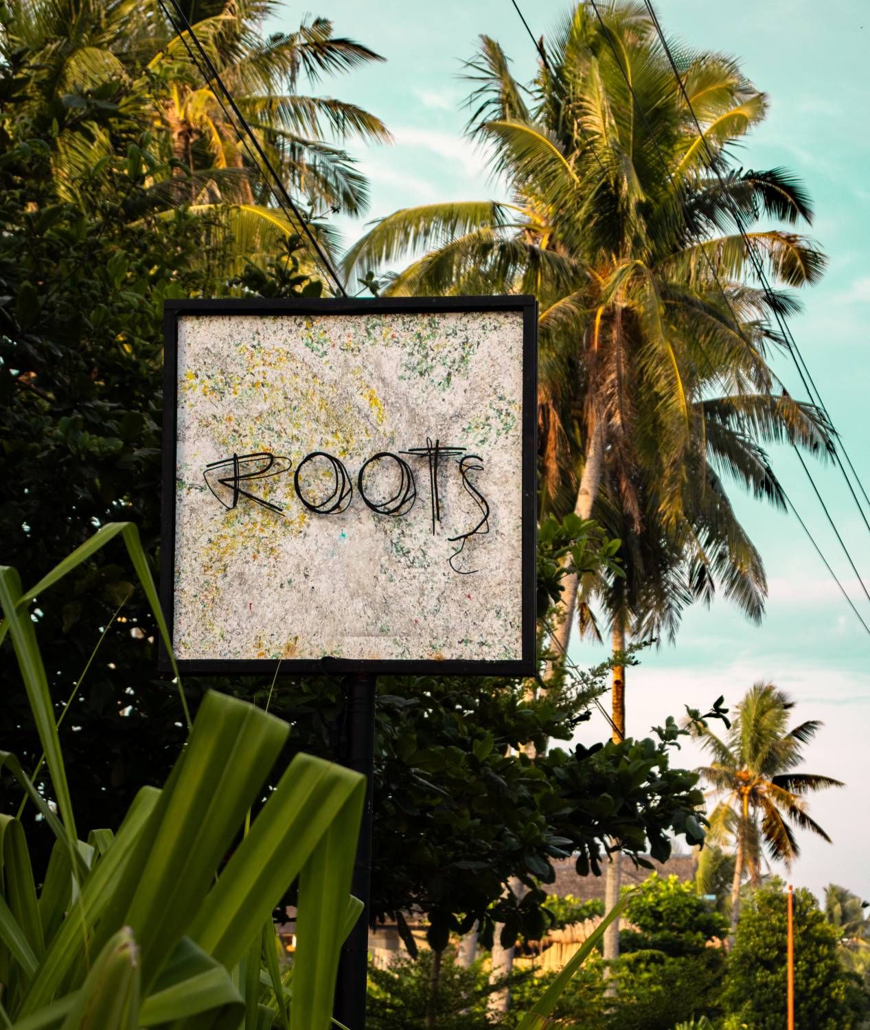 El restaurante Roots: un imprescindible en Siargao.