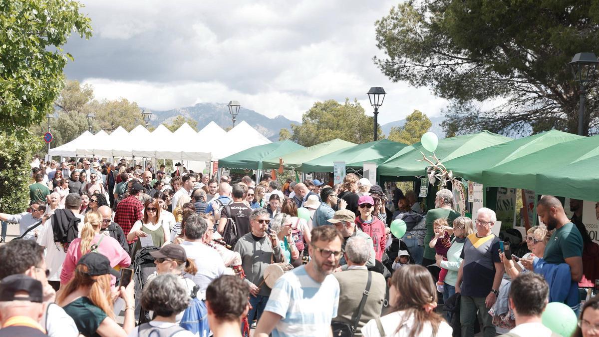 Imagen del Diumenge de l'Àngel de 2025 celebrado en el Castell de Bellver.