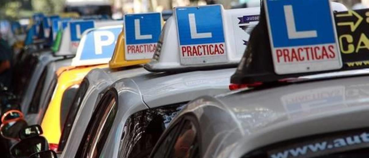 Varios coches de autoescuelas en una calle.