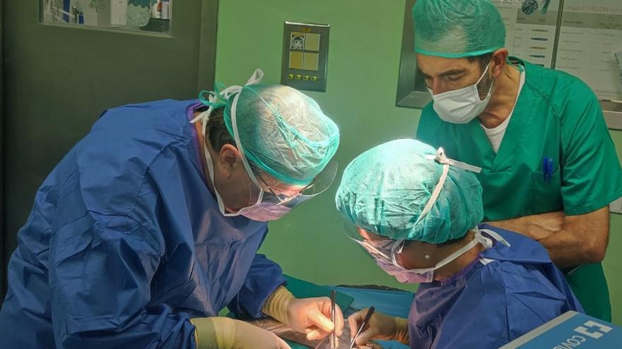 Los trasplantes de córnea en el Hospital General de Alicante crecen un 45%