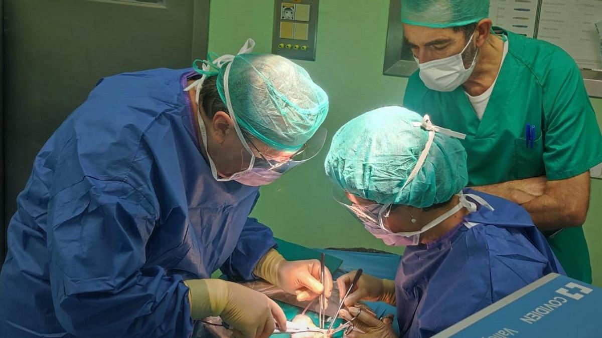 Actividad de trasplantes en el Hospital Doctor Balmis de Alicante