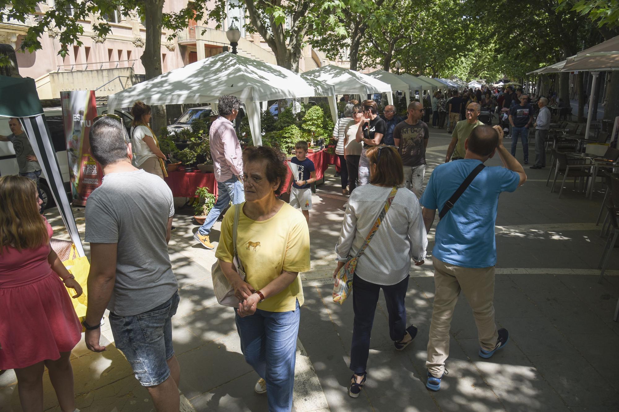 Les millors imatges de la Fira de l'Asenció 2022 a Manresa