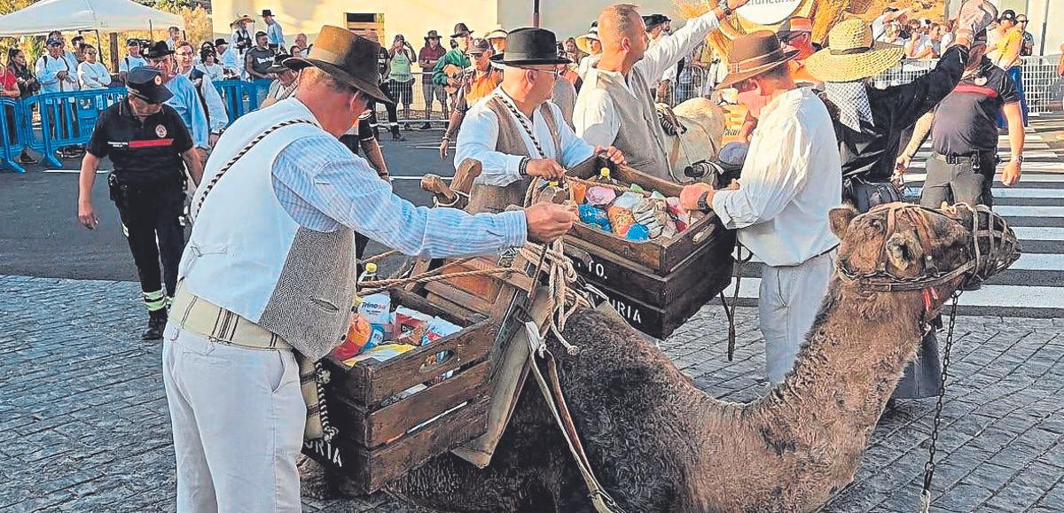 El Ayuntamiento de Betancuria llevó sus productos a lomo de una camella.