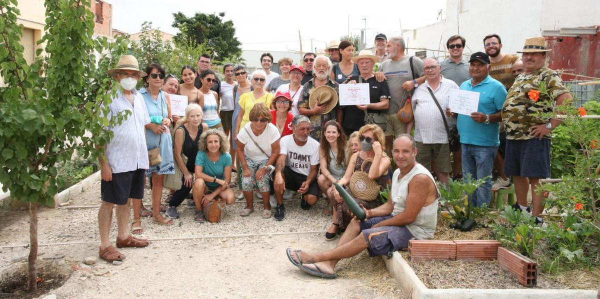 Participantes en el concurso de tomates cultivados en huertos urbanos de Alicante.