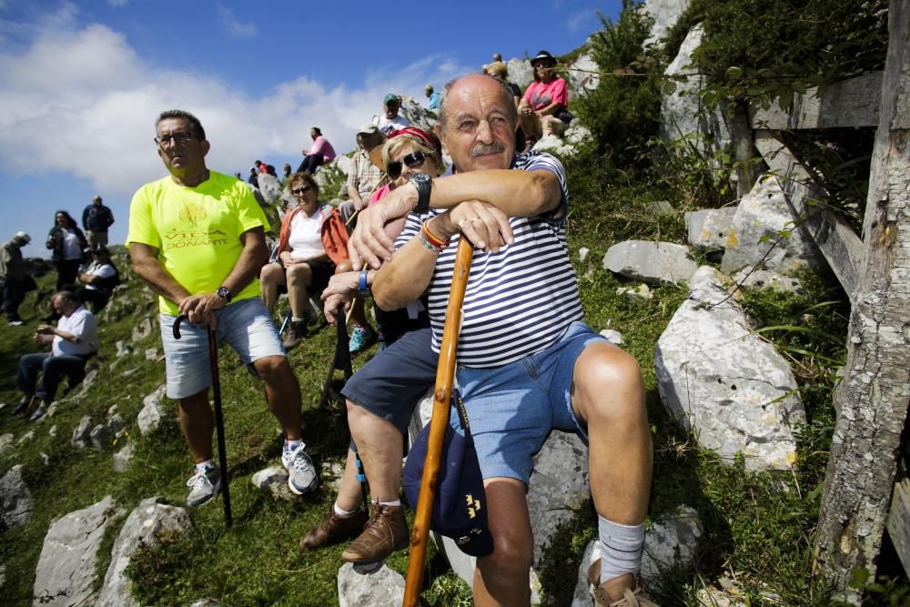 Fiesta del Asturcón en el Sueve