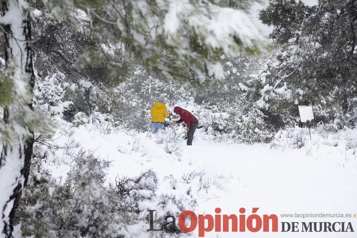 Continúa la nevada en las zonas altas de la comarca del Noroeste