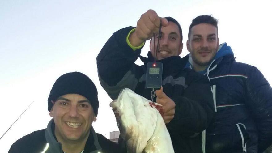 Capturan la mayor lubina en el Mar Menor en la modalidad curricán