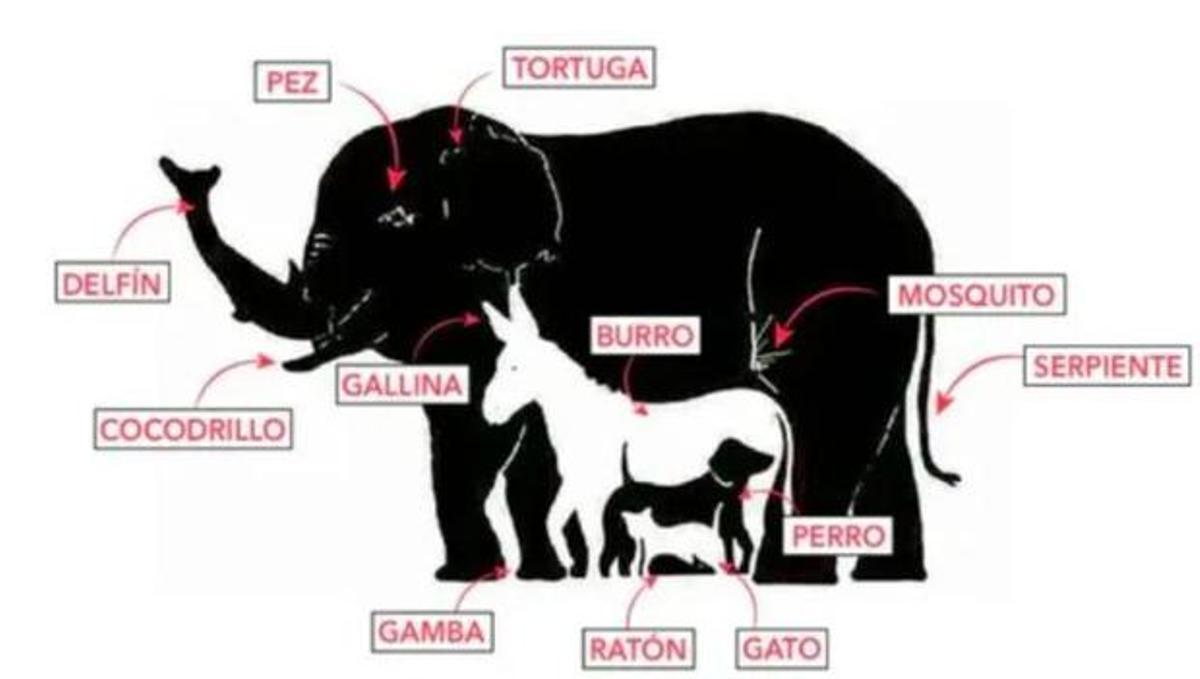 Solución del acertijo visual