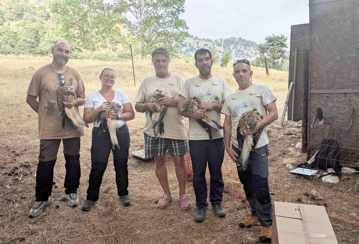 Equipo de trabajo de la Junta de Andalucía, Tragsa y GREFA que se ha encargado de esta acción.