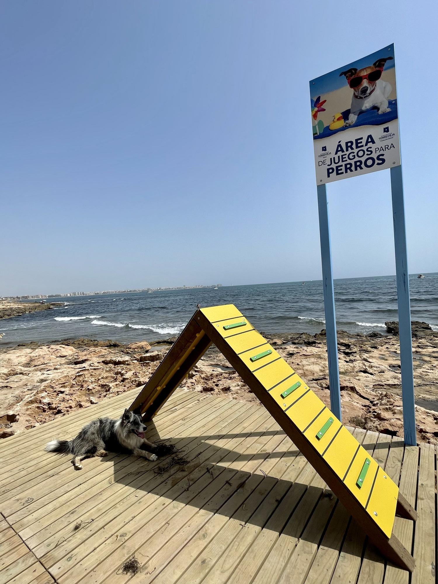 Playa canina Torrevieja