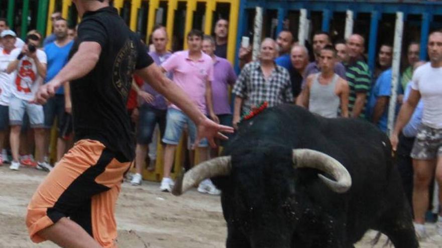 Ningún partido se plantea prohibir los festejos taurinos en Castellón