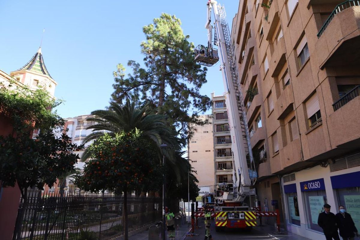 Intervención en una de las incidencias por el viento, esta mañana.