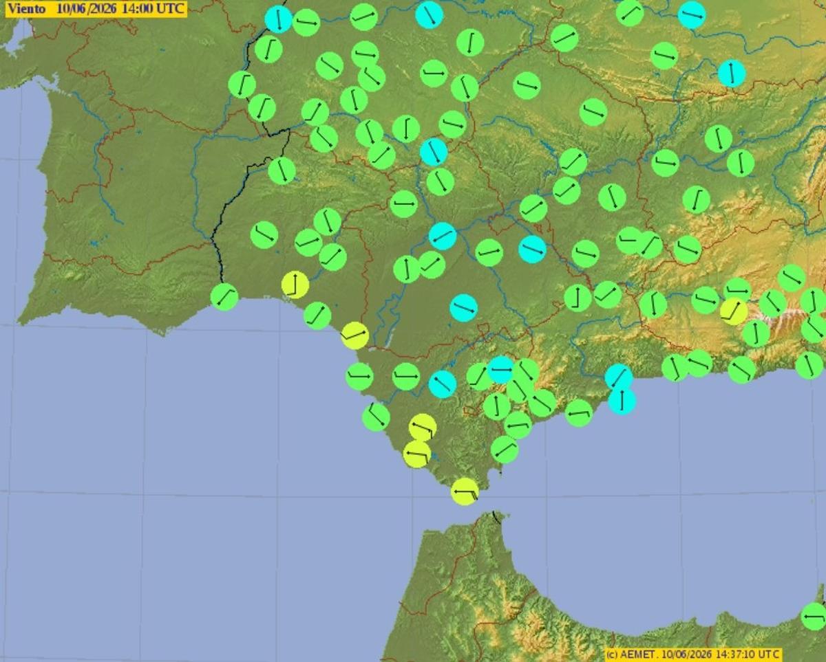 Viento previsto por la Aemet el próximo viernes.