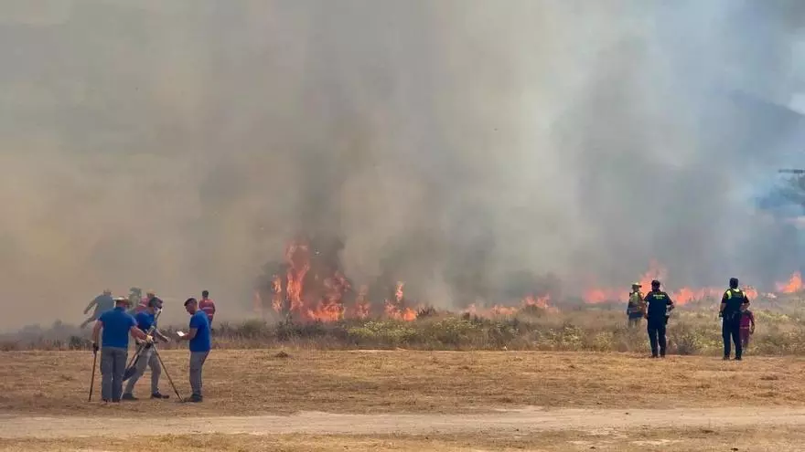 Así ha sido el operativo para estabilizar el incendio declarado en el cauce del río Vinalopó a su paso por Sax
