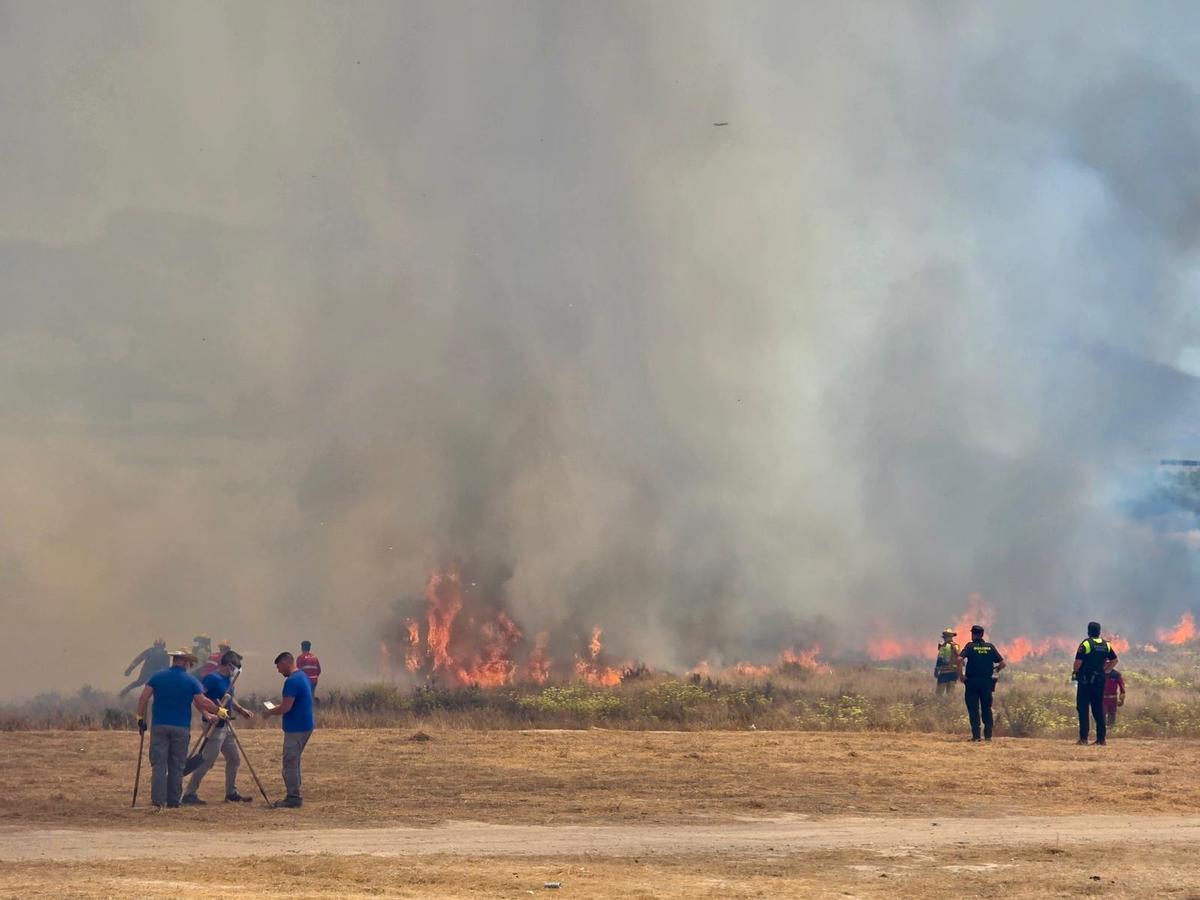 Las imágenes del incendio declarado en el cauce del río Vinalopó en pleno casco urbano de Sax Las imágenes del incendio declarado en el cauce del río Vinalopó en pleno casco urbano de Sax