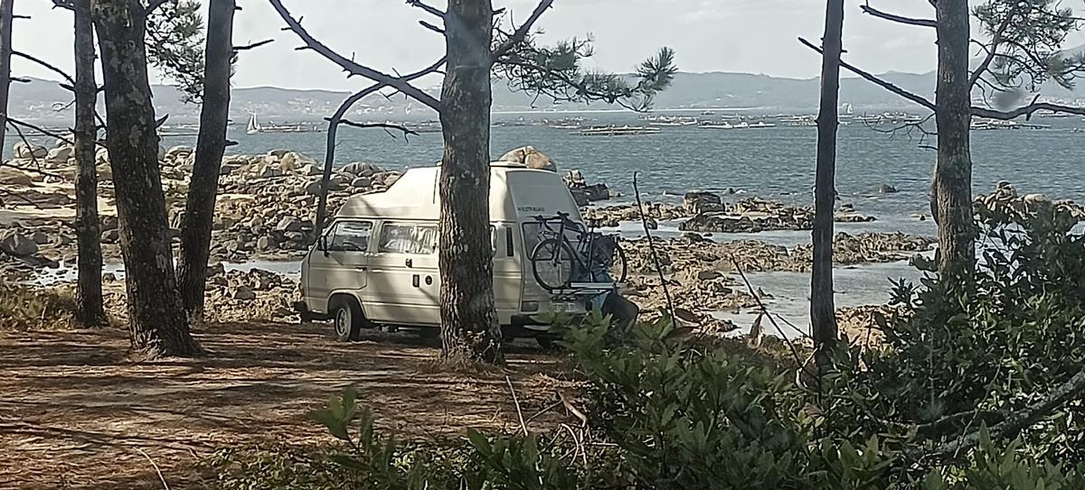 Una autocaravana en medio de un pinar.