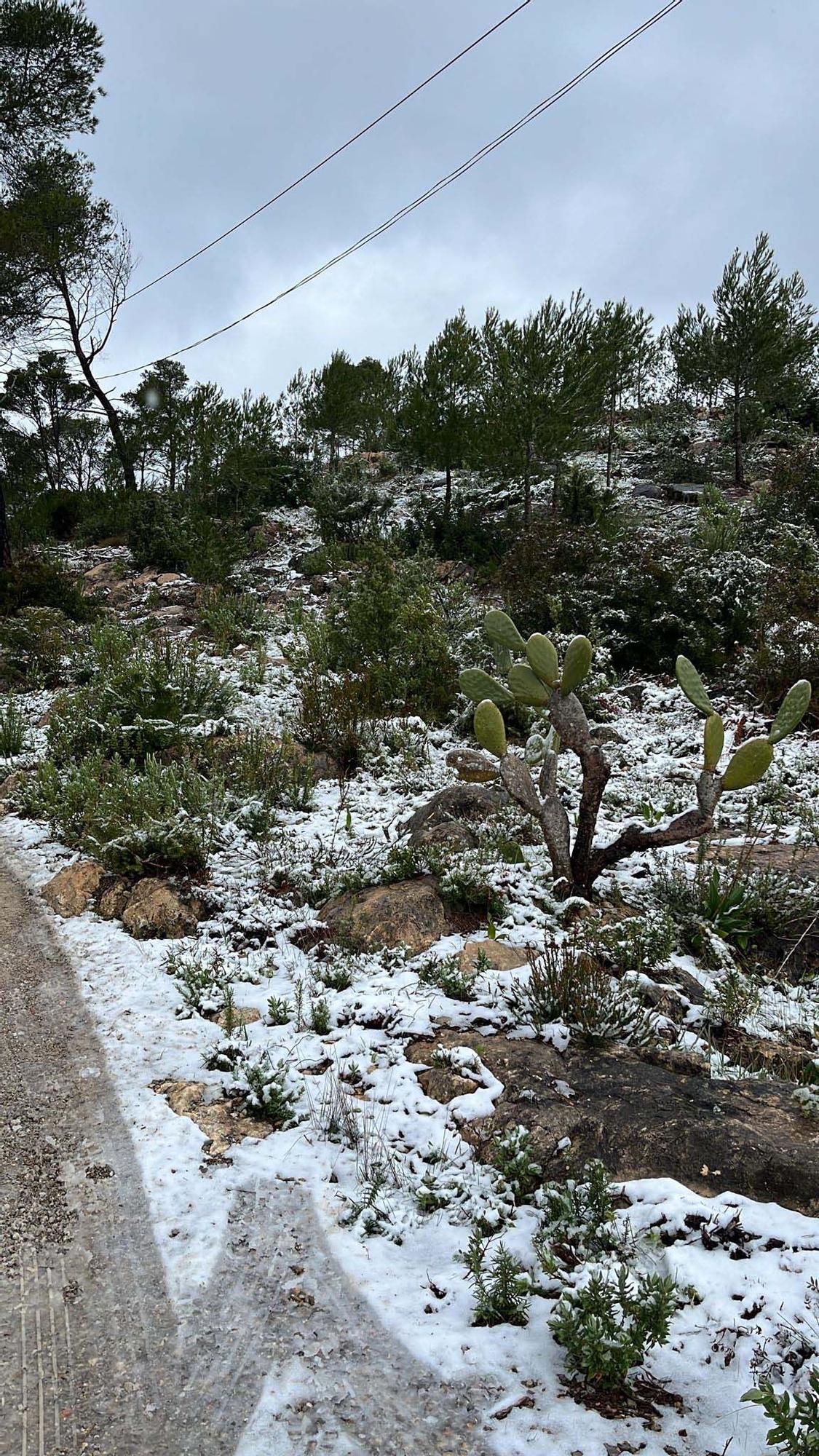 Galería de imágenes de la nevada por la borrasca Juliette en Ibiza